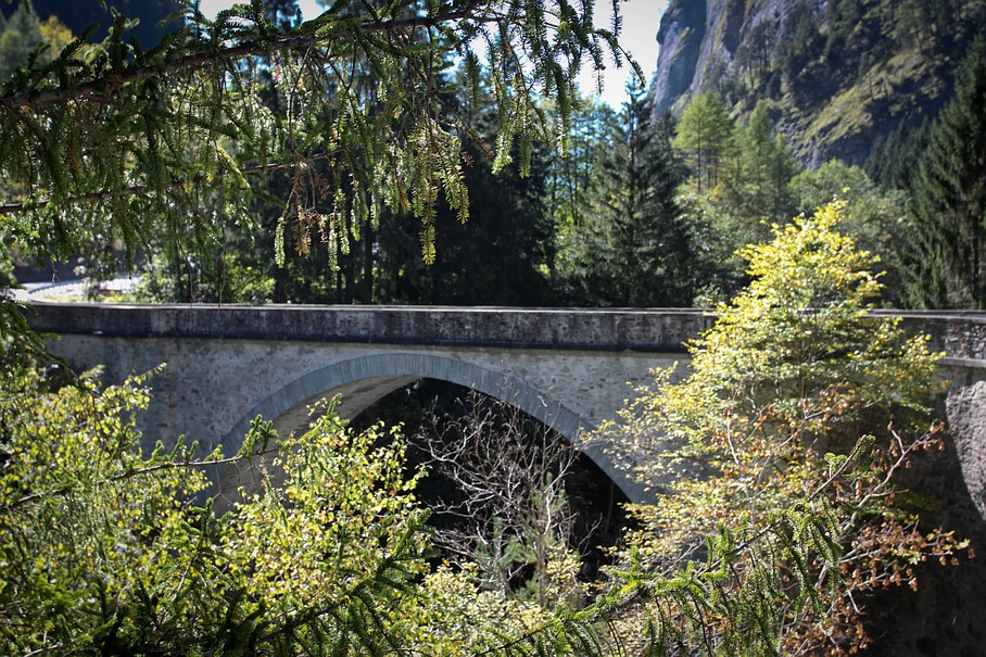 Wildbeobachten - Camping Rania - Zillis - Graubünden